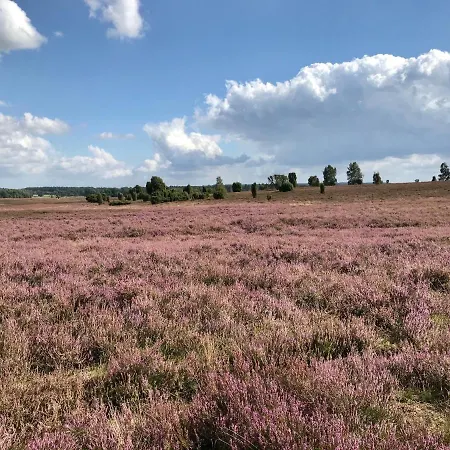 아파트 Zum Bothmerschen Krug *