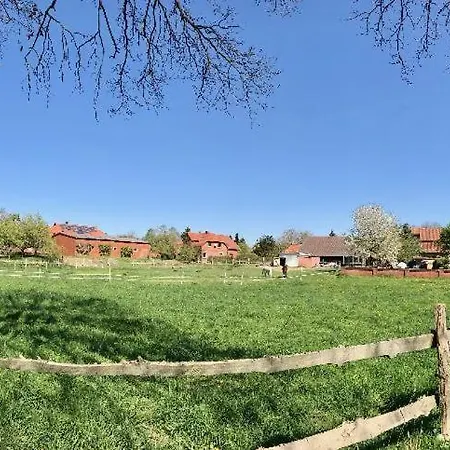 Zum Bothmerschen Krug 슈바름스테드