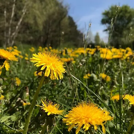 Zum Bothmerschen Krug * Schwarmstedt