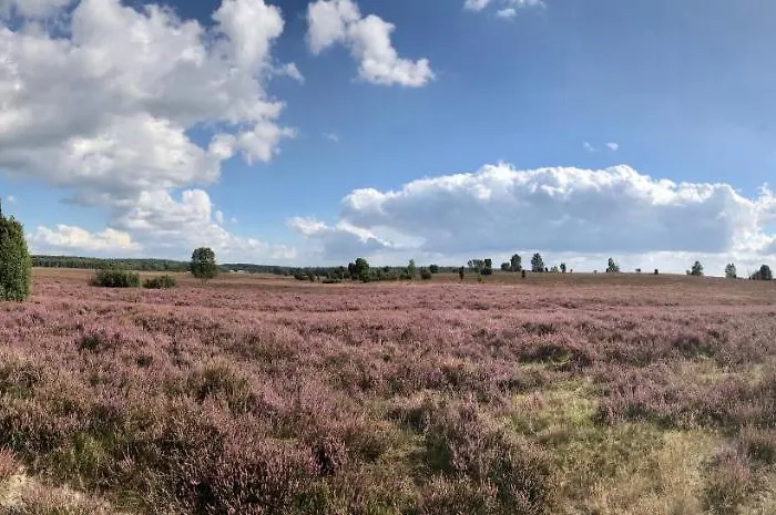 Zum Bothmerschen Krug