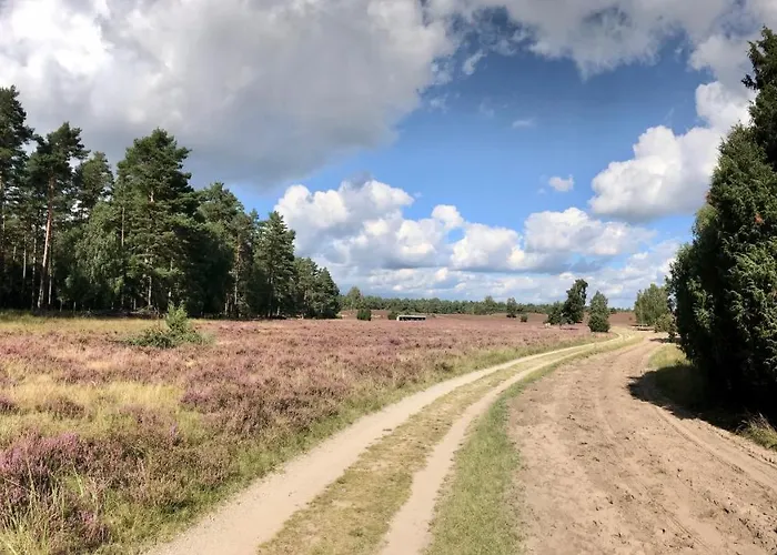 Апартаменты Zum Bothmerschen Krug