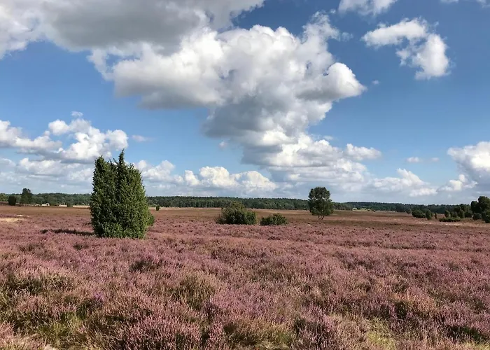 Zum Bothmerschen Krug Schwarmstedt