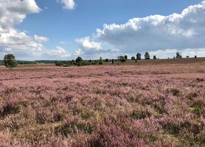 Apartamento Zum Bothmerschen Krug *